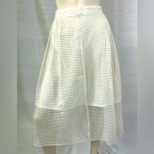 Netted A-line Skirt